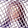 Alex-Rus